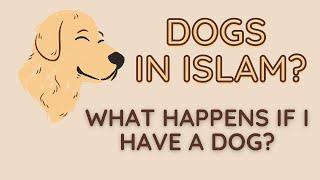 Is it ok that have a dog in Islam??  Sources from Quran and Hadith