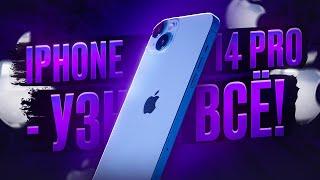  iPhone 14 - вся линейка в одном видео