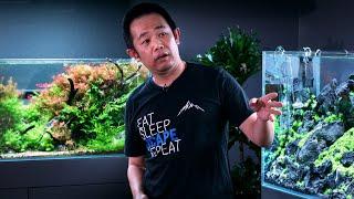 Masterclass World Champ Josh Sim On Crafting Contest-winning Aquascapes