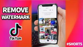 Cara Download Video TikTok Tanpa Watermark 2021