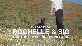DUTCH SHEPHERD CONNECTION ROCHELLE & SIG