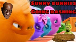 YTP Sunny Bunnies Going Dashing Dank Meme