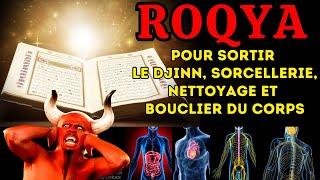 ROQYA POUR SORTIR LE DJINN SORCELLERIE NETTOYAGE ET BOUCLIER DU CORPSPROTECTION MAISON ET FAMILLE