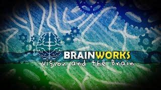 BrainWorks - Vision and the Brain