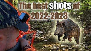 Wild Boar hog Hunting - Highlights and best of 2022-2023