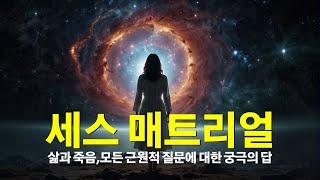 당신이 지금까지 이해하고 있던 삶의 관점이 송두리째 바뀐다  세스 매트리얼 구독자 이벤트 20분께 도서증정