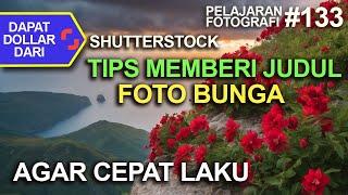 TIPS MEMBERI JUDUL FOTO BUNGA AGAR CEPAT LAKU - Shutterstock pemula - Tutorial judul Shutterstock