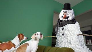 Dogs vs Scary Snowman Prank Funny Dogs Maymo Potpie & Puppy Indie vs Scary Snowman Practical Joke