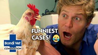 Bondi Vets Funniest Cases   Compilation  Bondi Vet