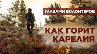 ПОЖАРЫ В КАРЕЛИИ. Как очевидцы и волонтеры спасают леса вместо МЧС