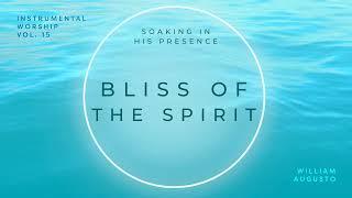 Soaking in His Presence - Bliss of Spirit  Official Audio