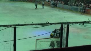 Da steht ein Arschloch im Tor Adler Mannheim Fangesang