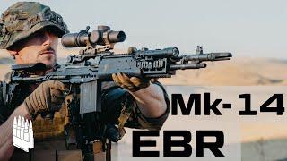 Mk14 Mod 0 EBR The M-14 when given enough steroids to kill a horse.