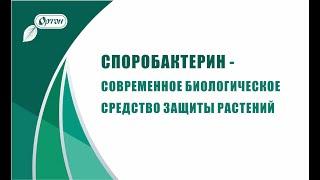 Споробактерин - биологическая защита ваших растений