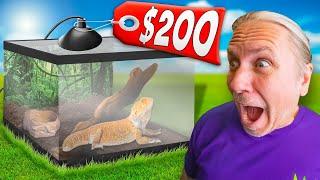 Best Bearded Dragon Cage For Under $200