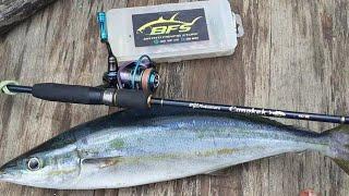 reel Cetus Attack 800sw vs Rainbow RunnerNekat Menggunakan Ultralight Di Spot inirig Balikpapan