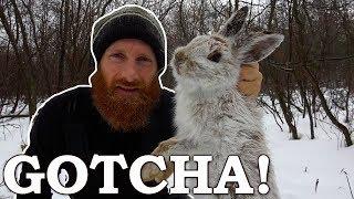 Rabbit LIVE CATCH in Real Time  Snare Catch Cook Clean Snowshoe Hare