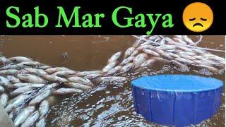 Biofloc fish farming  SAB mar Gaya 