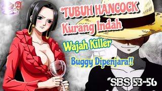 Luffy TAK TERTARIK Tubuh TELANJANG Boa Hancock Tapi Tubuh NAMI Malah Kaget? Serba Serbi SBS