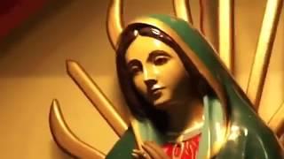 5 Estatuas de La Virgen Maria Moviendose Captadas en camara  OMG