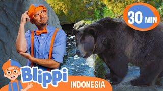 Memberi Makan Hewan di Kebun Binatang  Blippi Bahasa Indonesia - Video Anak  Petualangan Blippi