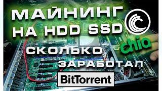 Сколько ЗАРАБОТАЛ на МАЙНИНГЕ на HDD и SSD