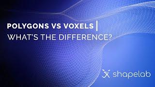 Polygons vs voxels  Whats the difference?