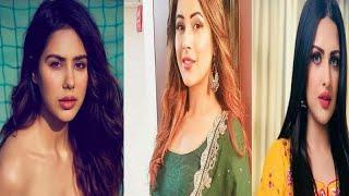 Top 15 Beautiful Punjabi Models