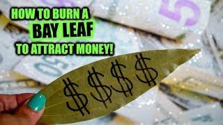 How To Burn Bay Leaves For Money │ Use A Bay Leaf To Manifest Prosperity