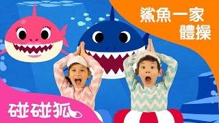 繁體 鯊魚寶寶體操  鯊魚寶寶   鯊魚舞  碰碰狐pinkfong！兒童兒歌