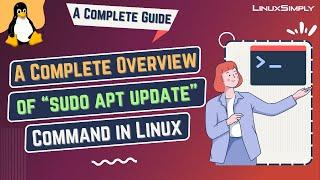 Everything You Need to Know about Linux “sudo apt update” Command A Complete Guide  LinuxSimply