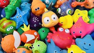 Learn Sea Animal Names and Facts  Sea Animals for Kids  Sea Creatures for Kids  Sea Animal Toys