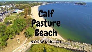 My Favorite Beach- Calf Pasture Beach in Norwalk Best Connecticut Beaches-World Oceans Day