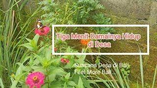 Melihat Sisi Indah Bali dari Sudut yg Berbeda 3 Menit Damainya Hidup di Desa #desa  #dailyroutine