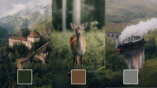 FREE DNG Preset - How to Get The Soft Faded Look like @michaelkagerer. Lightroom Wildlife Editing