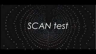 Scan Test