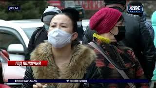 Год пандемии как казахстанцы пережили коронавирусный 2020-й