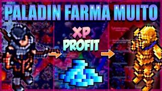 TIBIA - 7 HUNTS QUE PALADIN FAZ MAIS DE 15KK POR HORA DE PROFIT