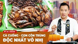 Cà Phê Sáng Cuối Tuần P1 06-01-24 Cà cuống - con côn trùng độc nhất vô nhị