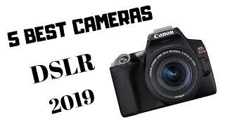 TOP 5 BEST CAMERA FOR BEGINNERS IN 2019  DSLR  4K  CANON