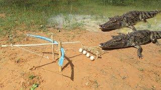 Crocodile Trap ⎟ Catch Big Crocodile with rope work 100%