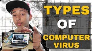 Types of computer virus in Hindi  कंप्यूटर वायरस कितने प्रकार के होते है