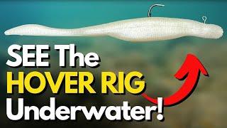 What Does the HOVER RIG Really Do Underwater? See 3 Different Retrieves