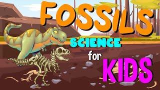 What are Fossils  Science for Kids