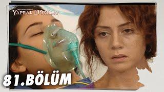 Yaprak Dökümü 81. Bölüm - Full Bölüm