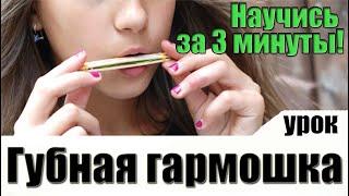 Как научиться играть на губной гармошке УРОК С нуля