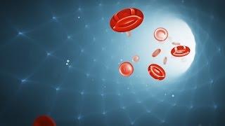 Medical Animation Bloodflow Tutorial with Cinema 4D and After Effects