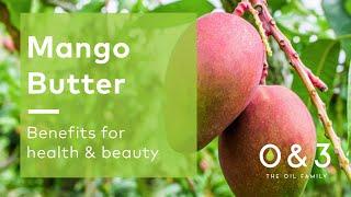 Mango Butter benefits for skin and hair