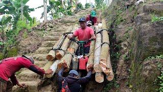 a risky job carrying lots of wood using a motorbike on extreme roads