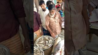 ১৫৫০ টাকা নিলামে পদ্মা নদীর ১ বল ৫ মিশালী মাছ॥ Padma river fresh mixed fish market॥ #shorts